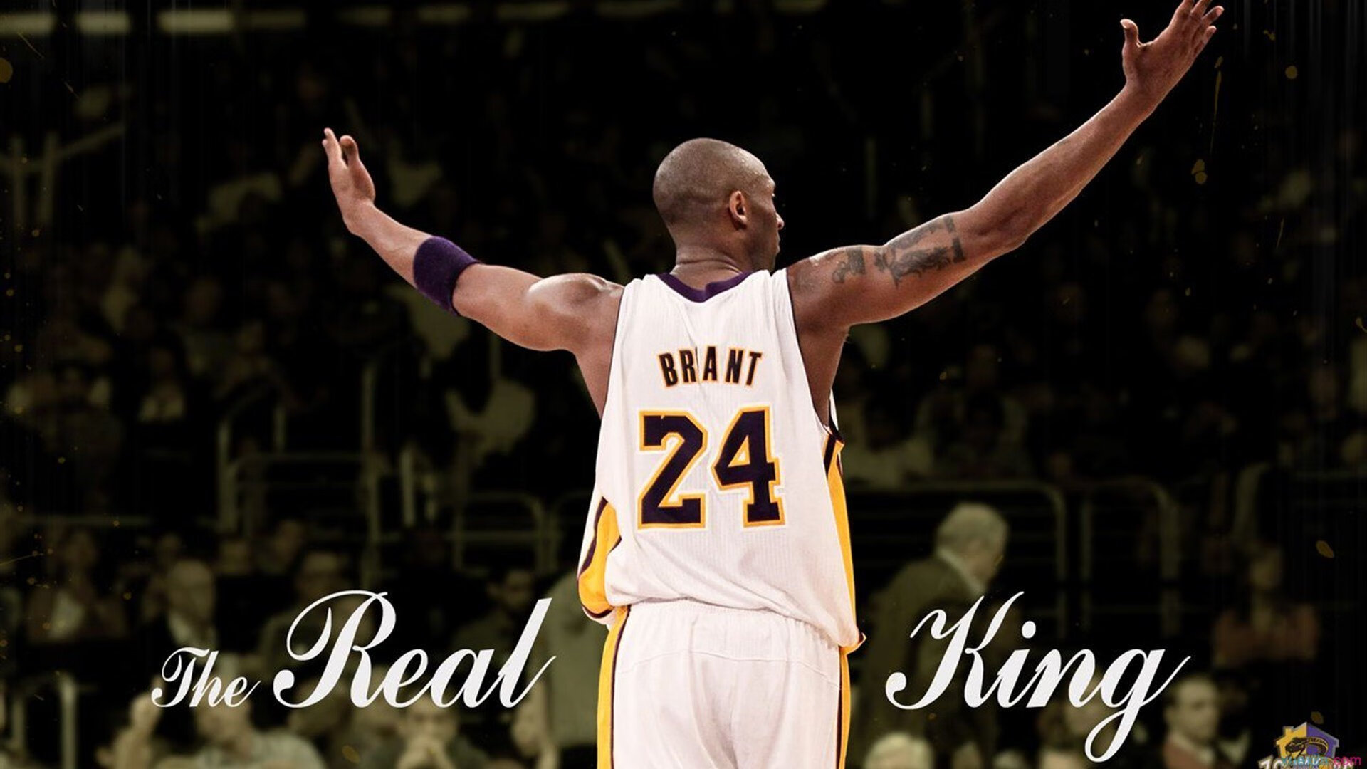 电竞少年挑战极限刷新排行榜，电竞少年房间装修